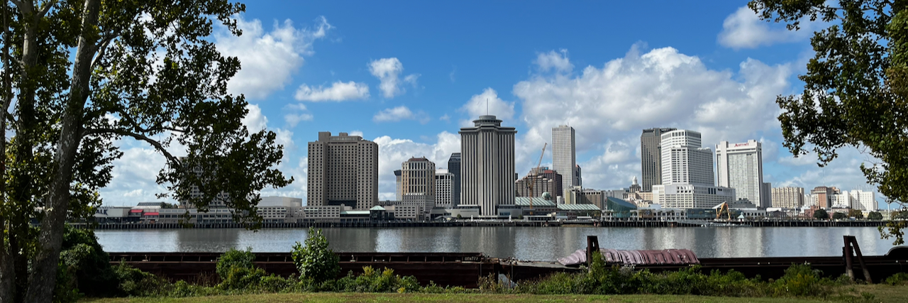 Looking across to New Orleans metro area, from Algiers. city buildings across the Mississippi, grass and trees in foreground.